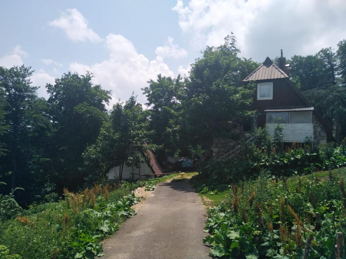 Dobre Vode 2 Apartment Zabljak  Luaran gambar